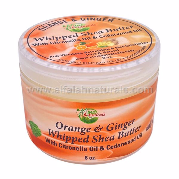 Picture of Orange & Ginger Whipped Shea Butter 8oz by Mine Botanicals